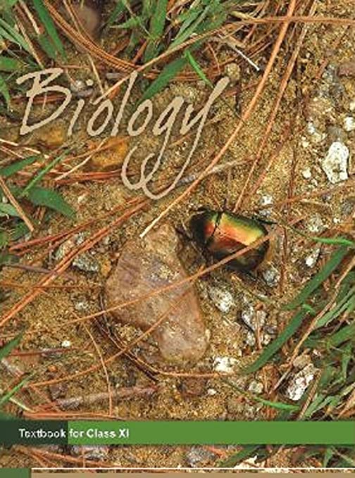 Ncert Solution For Class 11 Biology