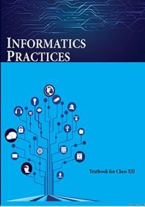 Ncert Books For Class 12 Information Practices