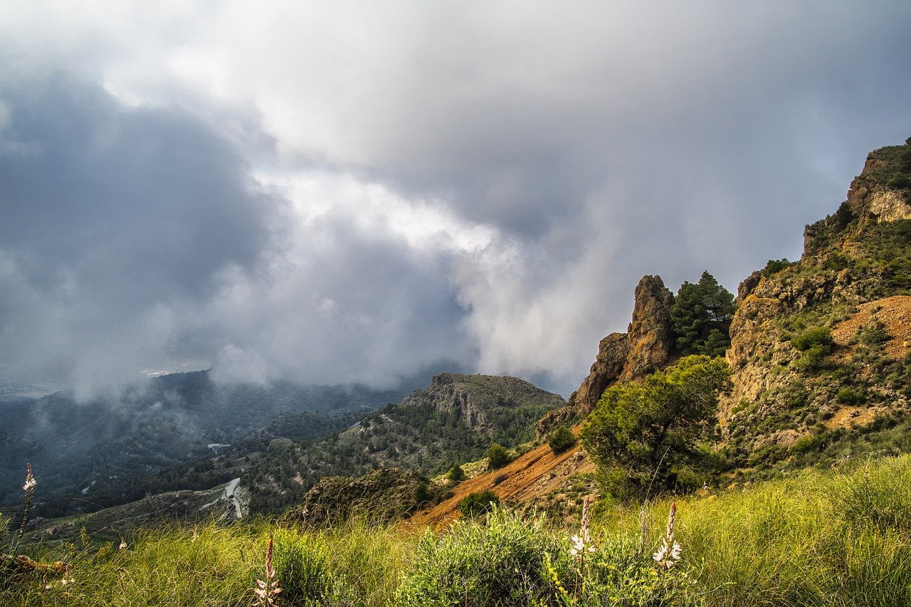 mountains, meadow, fog