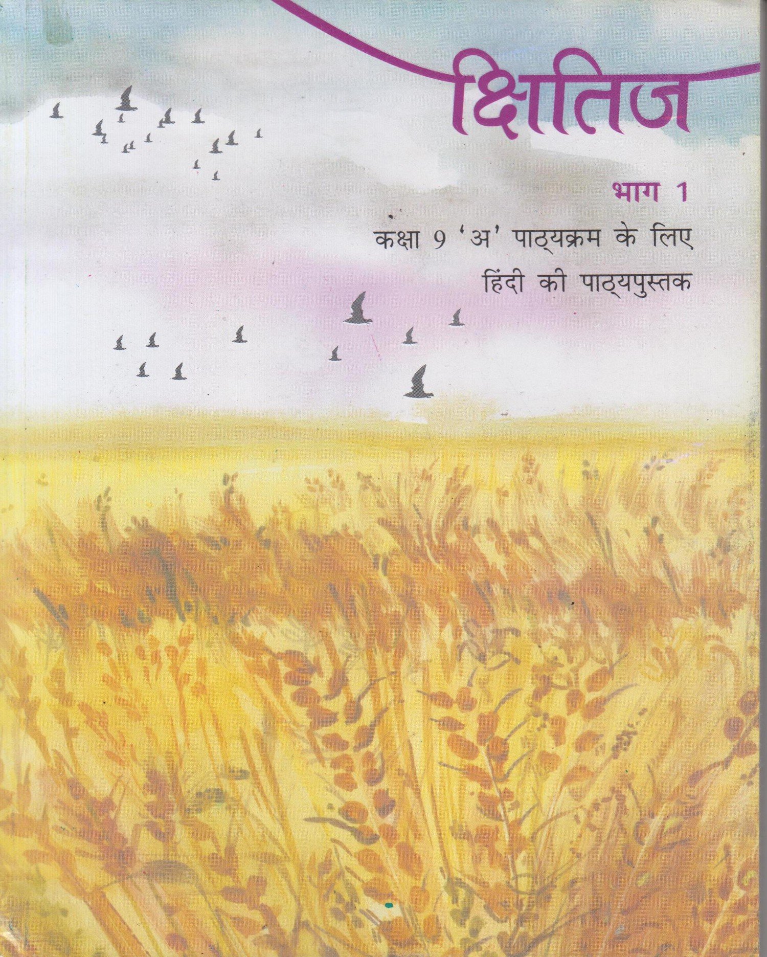 Ncert Solution For Class 9 Hindi