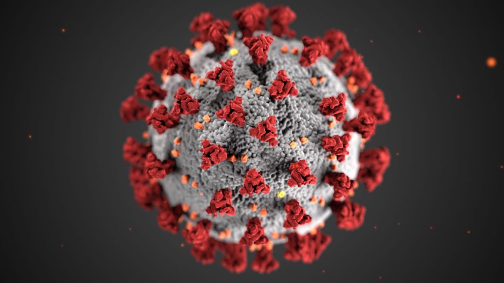 What is coronavirus (covid-19)