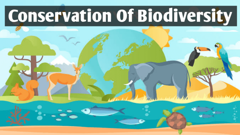 biodiversity