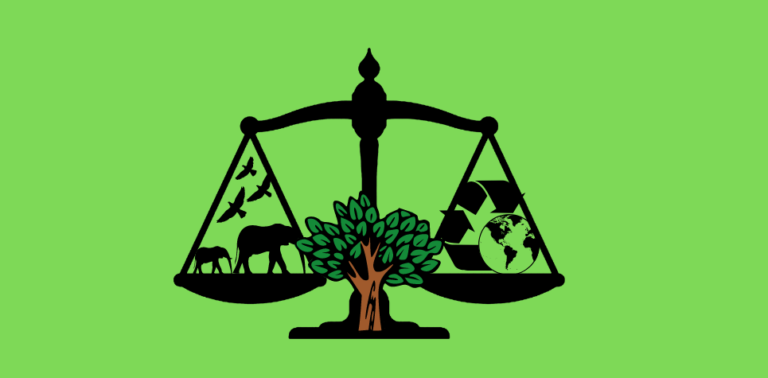 environmental laws in india